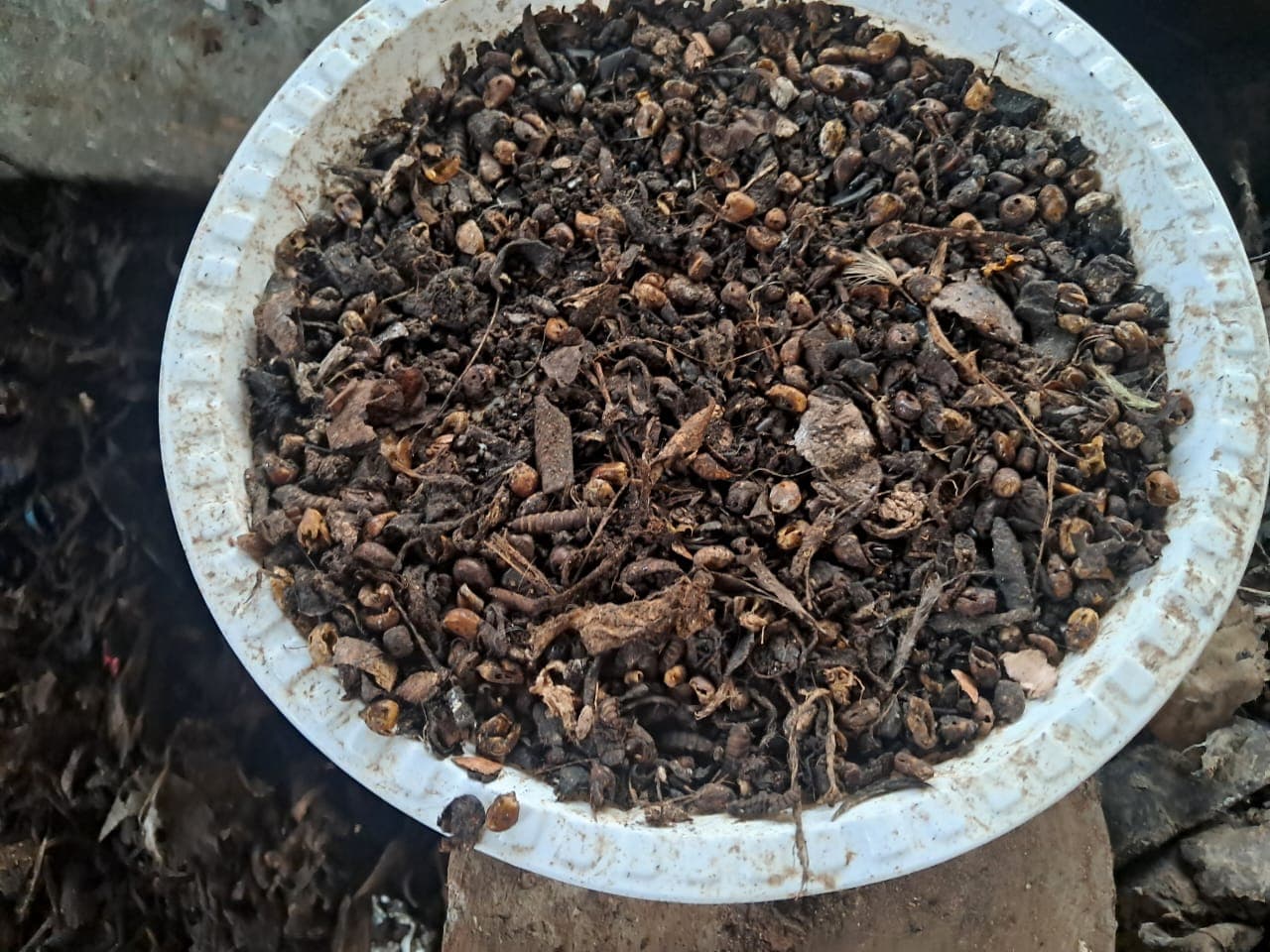 Close-up of finished organic compost produced from household waste